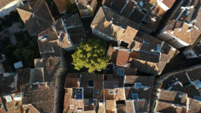 Appartement centre historique Aix en Provence, Place RAMUS